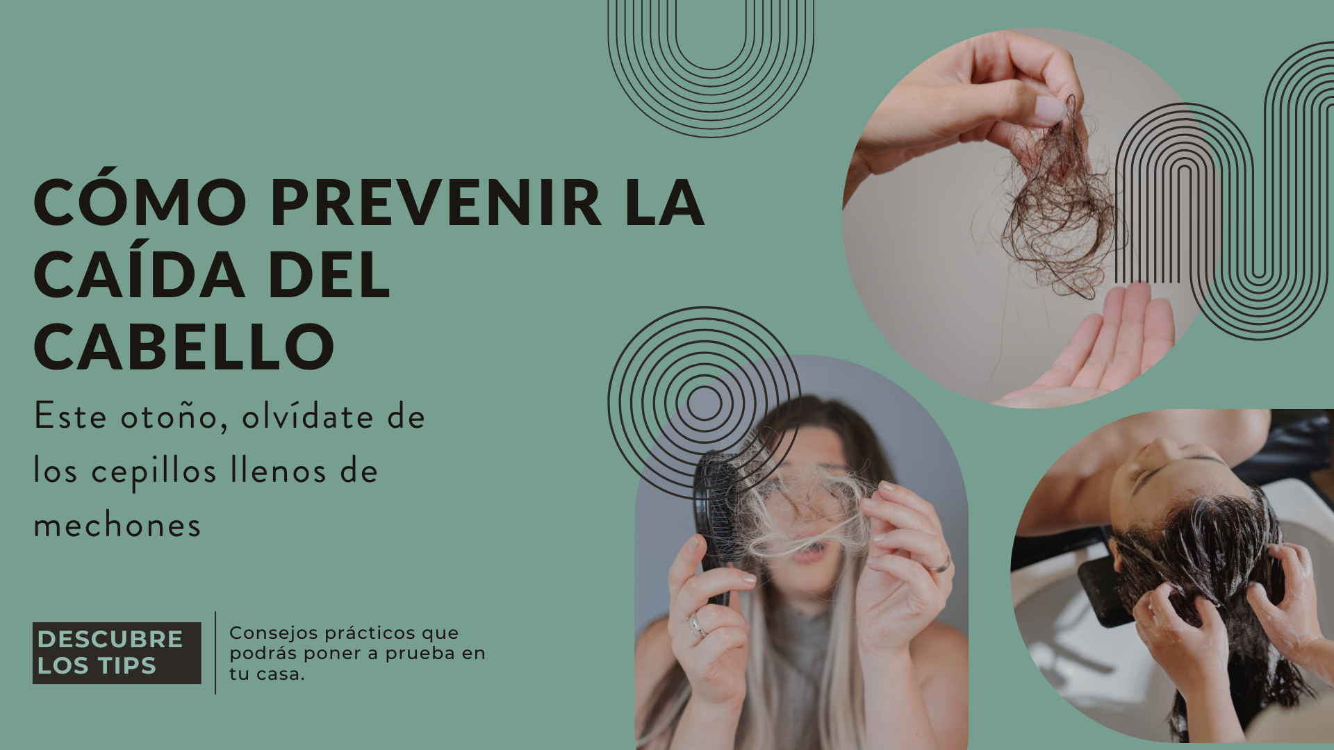 cómo prevenir la caída del cabello en peluquería en Chamartín